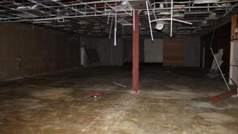 Mar 20/20' - IMG_5701.jpg