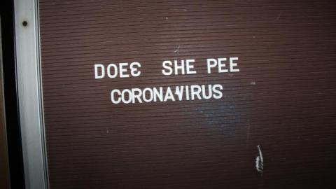 Mar 20/20' - IMG_5736.jpg