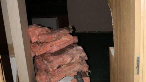 Mar 20/20' - IMG_5757.jpg