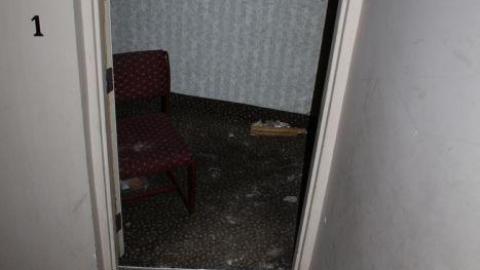 Mar 20/20' - IMG_5766.jpg