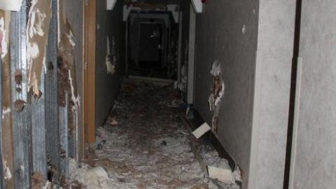 Mar 20/20' - IMG_5781.jpg