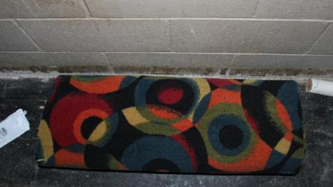 Mar 20/20' - IMG_5804.jpg