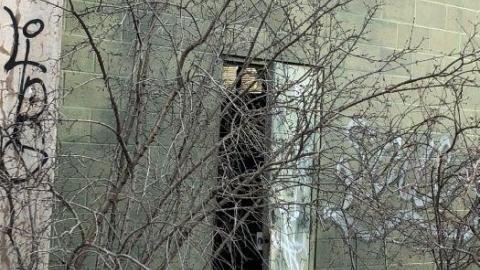 Wilson Ave - 6E6BAE97-FDCA-478B-9D15-BF3D5F.jpg