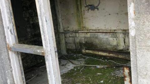 Wilson Ave - B6EAEF4A-BB05-4551-AD91-F73452.jpg