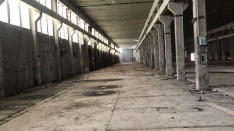 Wilson Ave - 311AC080-9D4C-406A-82AA-53CD94.jpg