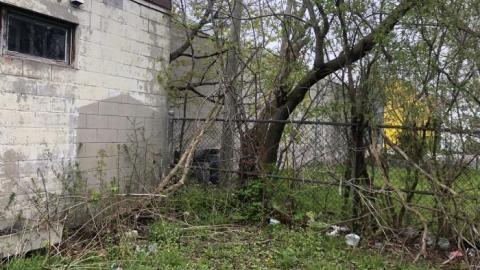 STRIP MALL - 5E67C1B8-DADE-4CF9-A8E7-540DFE.jpg