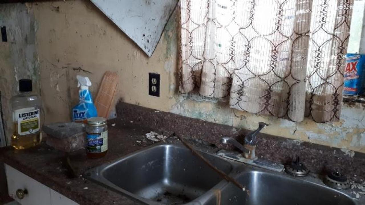 May 2020 - 20200518_164256.jpg