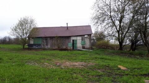 May 2020 - 20200518_171401.jpg