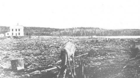 Mowat (Tom Thomson murder) cover photo