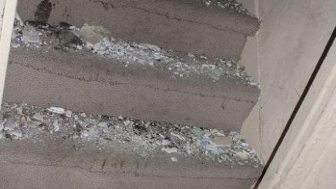 Aug 19' - IMG_8056.jpg