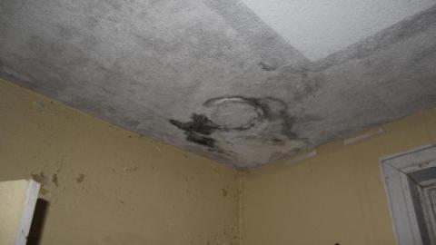 Aug 19' - IMG_8059.jpg