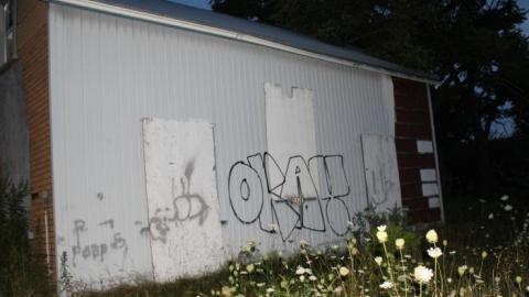 Aug 19' - IMG_8096.jpg