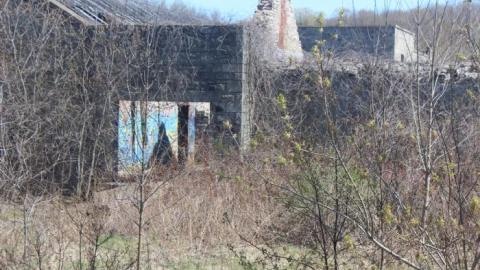 The Barber Mill - IMG_6087.jpg