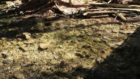 Now I Know  - IMG_5590.jpg