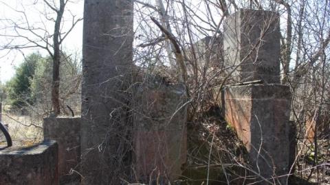 Now I Know  - IMG_5592.jpg