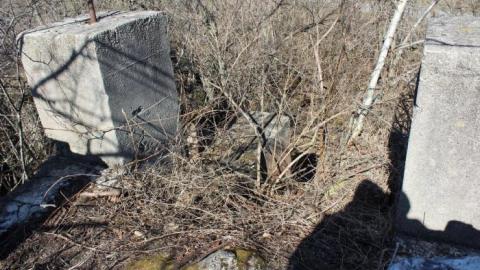 Now I Know  - IMG_5597.jpg