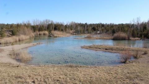 Now I Know  - IMG_5605.jpg