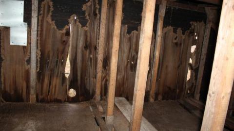 2nd Times A Charm - IMG_8246.jpg