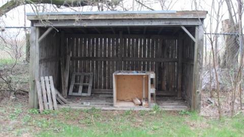 2nd Times A Charm - IMG_8248.jpg