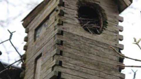 2nd Times A Charm - IMG_8255.jpg