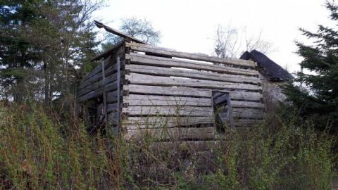 Early Homestead Farm photo 2