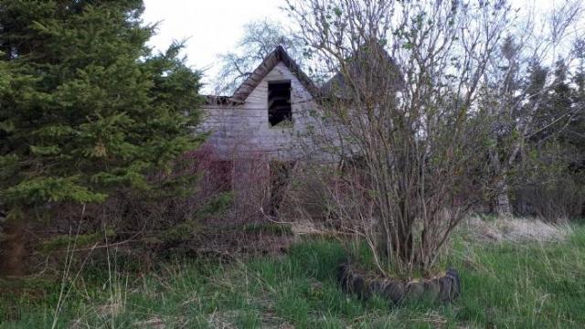 May 2020 - 20200522_191629.jpg