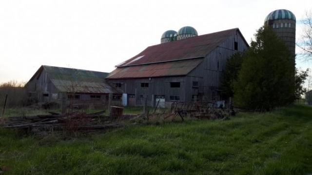 May 2020 - 20200522_192430.jpg