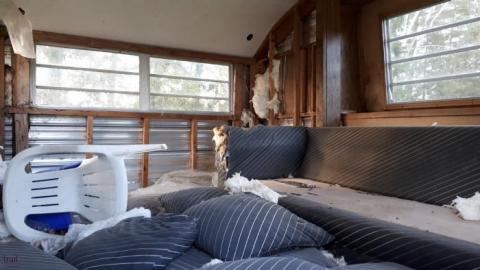 May 2020 - 20200522_192906.jpg