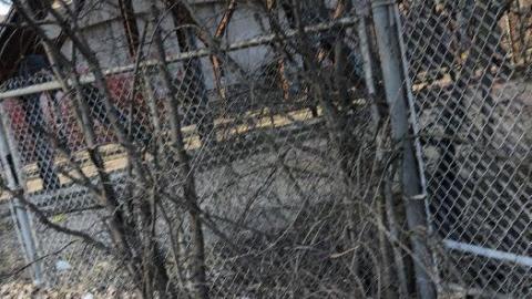 Photo from So Bridgey