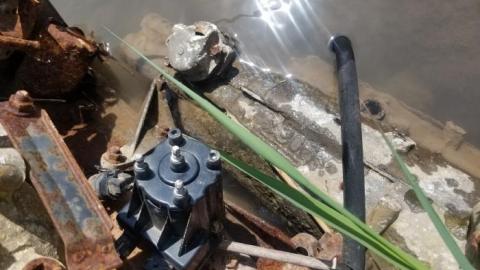 Nice hike - 20200525_112954.jpg