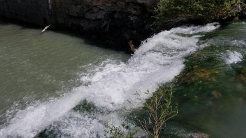 Nice hike - 20200525_123520.jpg