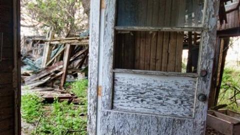 May/20 - IMG_4320s.jpg