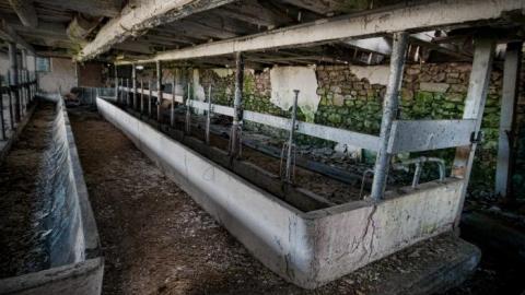 May/20 - IMG_4381s.jpg