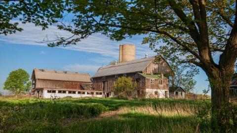 May/20 - IMG_4419s.jpg