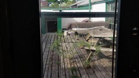 Busy spot - 20200527_173502.jpg