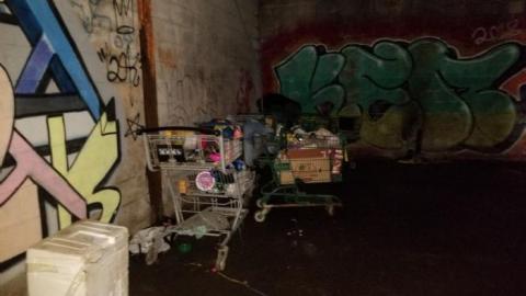 Hidden  hulk - 20200527_201932.jpg