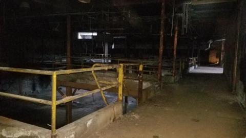 Hidden  hulk - 20200527_202903.jpg