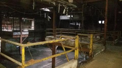 Hidden  hulk - 20200527_202202.jpg