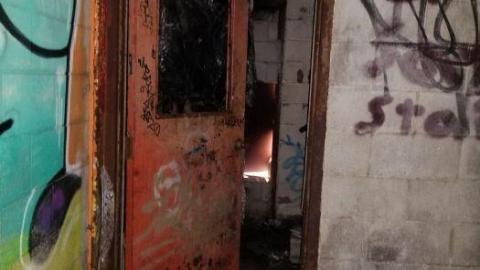 Hidden  hulk - 20200527_202109.jpg