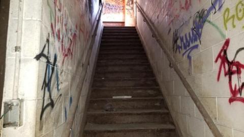 Hidden  hulk - 20200527_201708.jpg