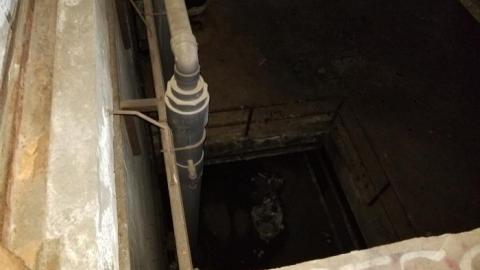 Hidden  hulk - 20200527_204920.jpg