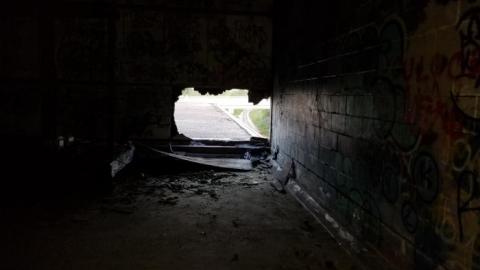 Hidden  hulk - 20200527_204832.jpg