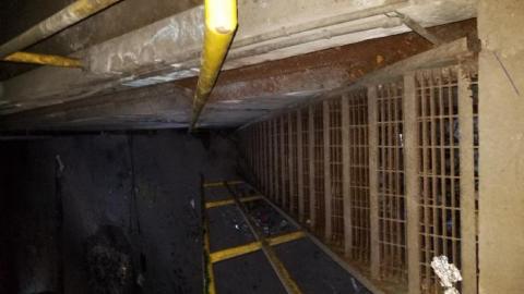 Hidden  hulk - 20200527_202858.jpg