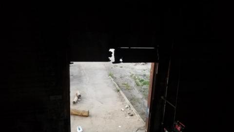 Hidden  hulk - 20200527_202802.jpg