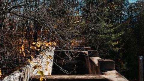 Dam - October 2019 - IMG_6342.jpg