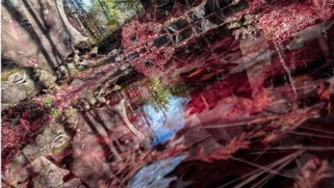 Dam - October 2019 - IMG_6286-HDR-Edit.jpg