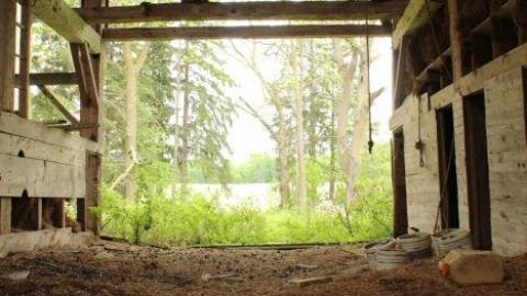 Plains Plentiful Playground - IMG_0274.jpg