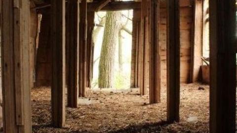 Plains Plentiful Playground - IMG_0275.jpg