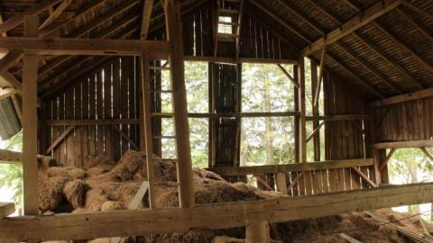 Plains Plentiful Playground - IMG_0286.jpg