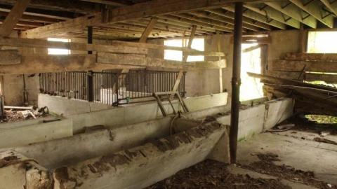 Plains Plentiful Playground - IMG_0291.jpg